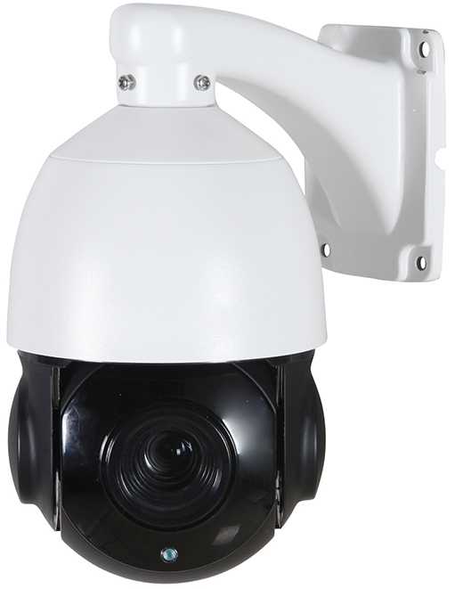 AltCam ISDV25IR IP-Камеры поворотные фото, изображение